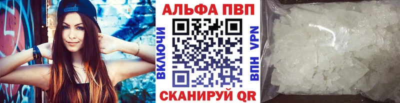 A PVP VHQ  Каргополь 