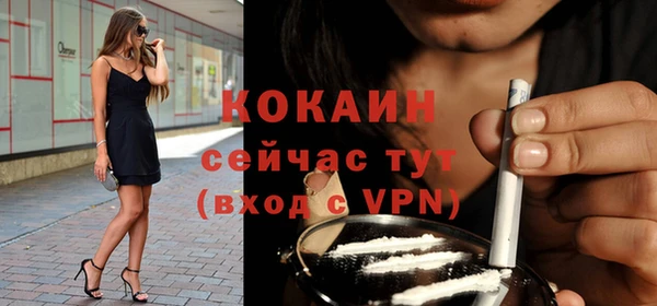 прущие крисы Ельня