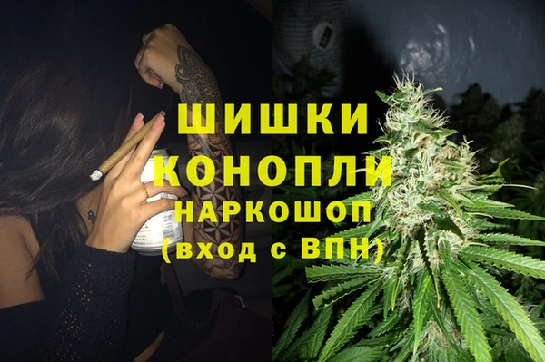 шишки Елабуга