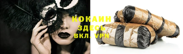 прущие крисы Ельня