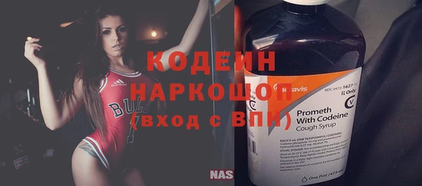 прущие крисы Ельня
