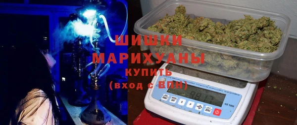 прущие крисы Ельня