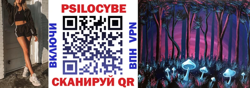 shop какой сайт  blacksprut сайт  Каргополь  Псилоцибиновые грибы Psilocybine cubensis 